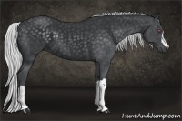 Horse Color:Silver Black Chinchilla 