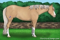 Horse Color:Silver Classic Champagne 