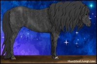 Horse Color:Black  Brindle