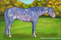 Horse Color:Watercolor White Spotted Brown Sabino and Watercolor White Spotted Brown Sabino