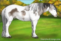 Horse Color:Brown Splash Tobiano
