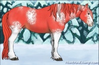 Horse Color:Watercolor White Spotted Liver Red Roan 