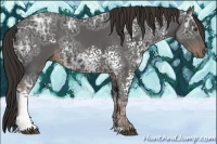 Horse Color:White Spotted Liver Chestnut Ice 