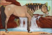 Horse Color:Amber Champagne