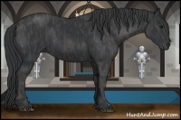 Horse Color:Black  Brindle