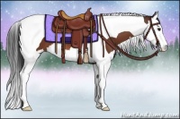 Horse Color:Bay Splash Tobiano