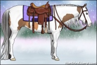 Horse Color:Buckskin Splash Tobiano