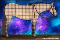 Horse Color:Plaid Buckskin Dun