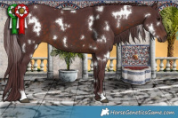 Horse Color:White Spotted Chocolate Brown 