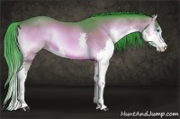 Horse Color:Watercolor Bay Onyx Splash 