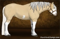 Horse Color:Silver Buckskin Roan Splash Frame