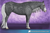 Horse Color:Silver Black Chinchilla