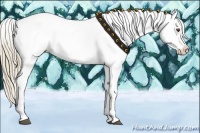 Horse Color:White Spotted Liver Chestnut Pearl Sabino Blanket Rabicano 