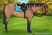 Horse Color:Bay Roan 