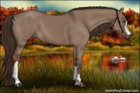 Horse Color:Liver Red Dun 