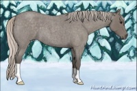 Horse Color:Silver Blue Roan 