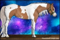 Horse Color:Chocolate Silver Bay Sabino Tobiano