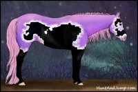 Horse Color:Watercolor Bay Sabino Splash Frame