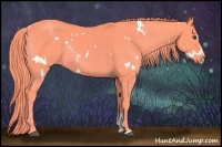 Horse Color:Watercolor White Spotted Chestnut Sabino