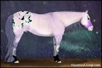 Horse Color:Watercolor Bay Roan Onyx Appaloosa