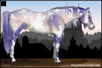 Horse Color:Watercolor White Spotted Bay Onyx 