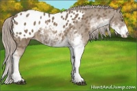 Horse Color:Chocolate Palomino Sabino Varnish 