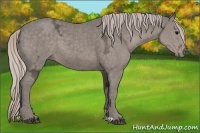 Horse Color:Silver Black Ice 