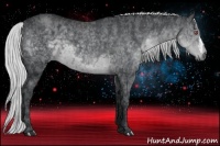 Horse Color:Silver Black Chinchilla  Brindle