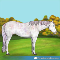 Horse Color:Nacre Watercolor White Spotted Black Ice Splash  and Nacre Watercolor White Spotted Silver Grullo Ice Splash 