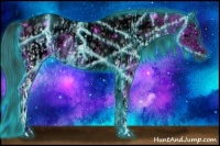 Horse Color:ERROR: UNKNOWN ANOMALY and ERROR: UNKNOWN ANOMALY