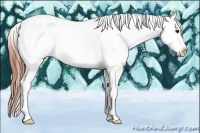 Horse Color:Bay Roan Near Fewspot