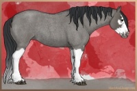 Horse Color:Grullo Roan Splash Frame Rabicano 