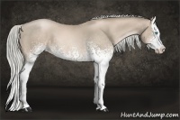 Horse Color:White Spotted Chocolate Palomino Roan Pearl Splash 