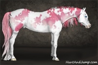 Horse Color:Watercolor White Spotted Red Onyx Roan Splash