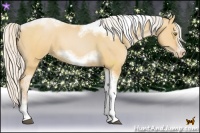 Horse Color:Silver Bay Pearl Dun Sabino Tobiano Frame Rabicano 