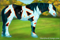 Horse Color:Gray Thunderstruck Liver Chestnut Splash Near Leopard 