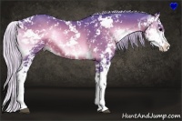Horse Color:Watercolor Silver Brown Onyx Sabino 