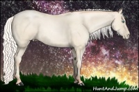 Horse Color:Silver Amber Cream Champagne Roan Pearl