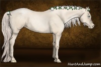 Horse Color:Gold Cream Champagne Roan Pearl
