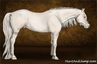Horse Color:Gold Cream Champagne Pearl 