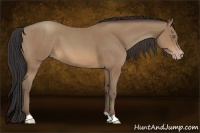 Horse Color:Sable Champagne 