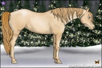 Horse Color:Gold Champagne Pearl 