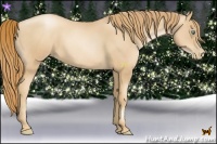 Horse Color:Gold Champagne Pearl