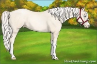 Horse Color:Silver Amber Cream Champagne Pearl