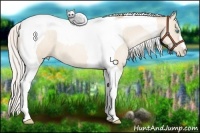 Horse Color:Silver Sable Cream Champagne Pearl Tobiano 