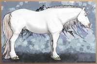 Horse Color:Nacre White Spotted Silver Sable Cream Champagne Roan Pearl Dun Appaloosa 