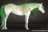 Horse Color:Watercolor Buckskin Onyx Splash
