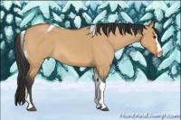 Horse Color:Bay Roan Dun Splash Tobiano 