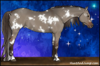 Horse Color:White Spotted Liver Red Dun 