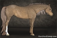 Horse Color:Chocolate Palomino 